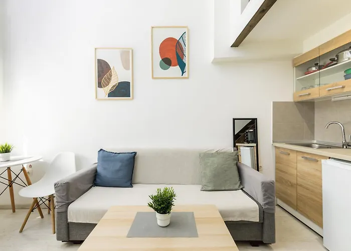 Appartement Stylish Loft In Center 1